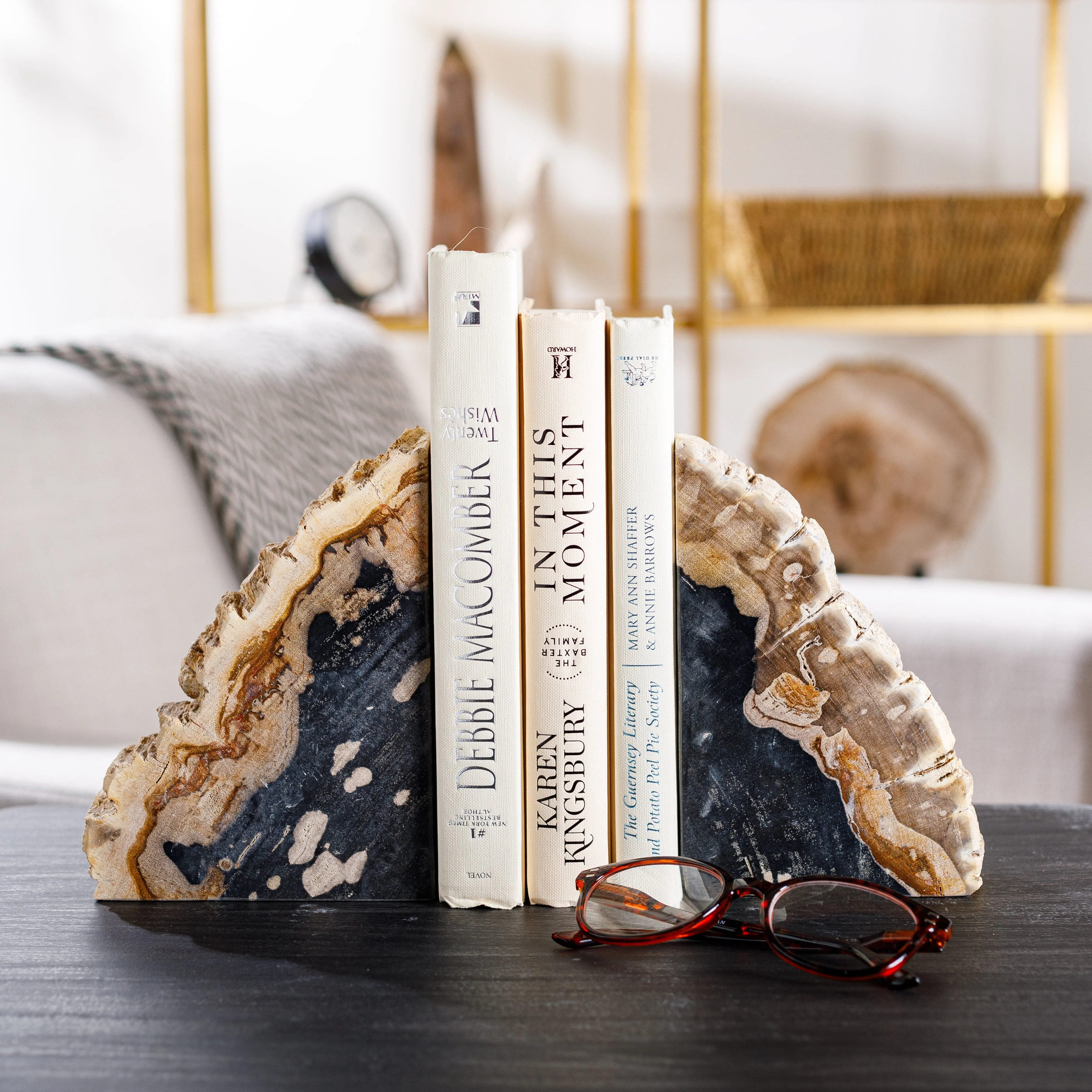10" Black Petrified Wood Bookend Pair