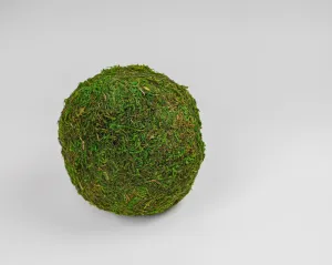 Dried Moss Balls - Preserved - 2,6,8 inch diameter