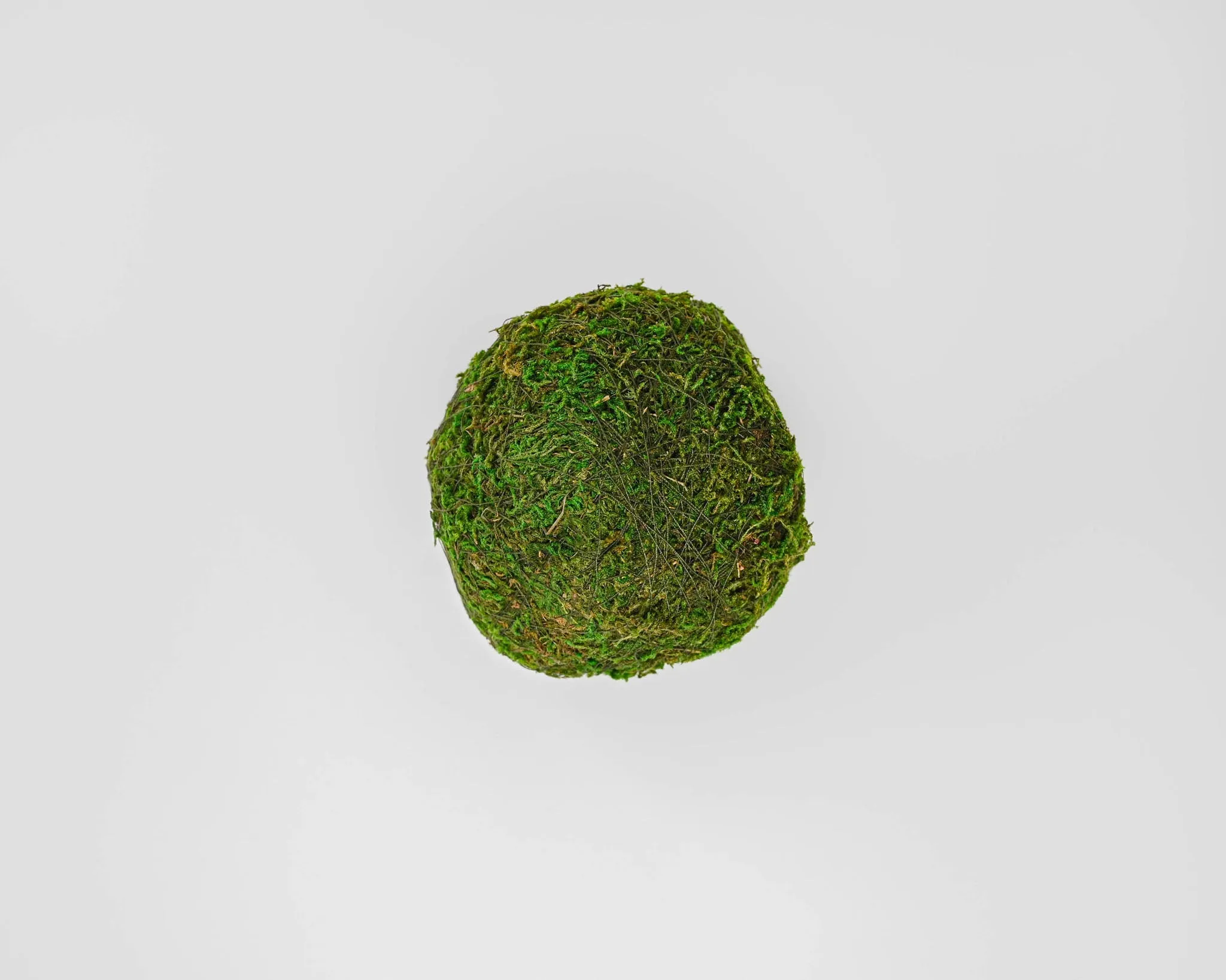 Dried Moss Balls - Preserved - 2,6,8 inch diameter