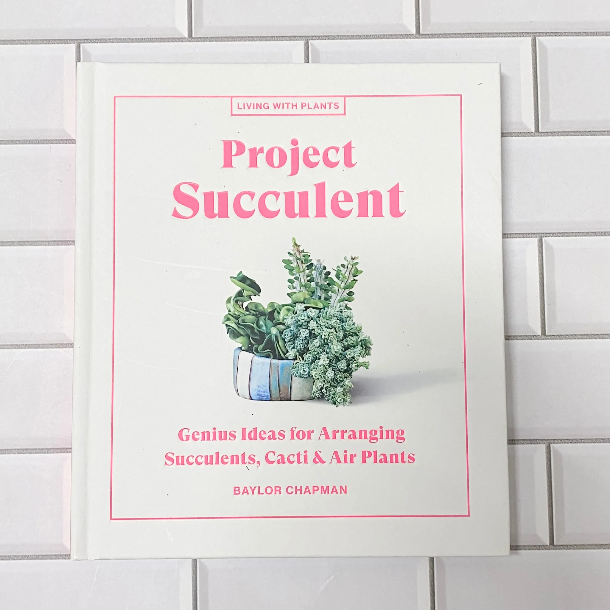 Project Succulent: Genius Ideas for Arranging Succulents, Cacti & Air Plants