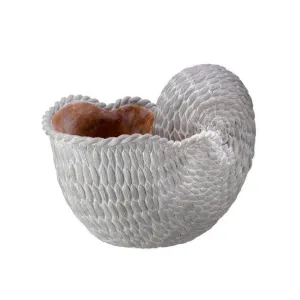 Regency International Resin 'Fabric Weave' Nautilus Shell 8.5"