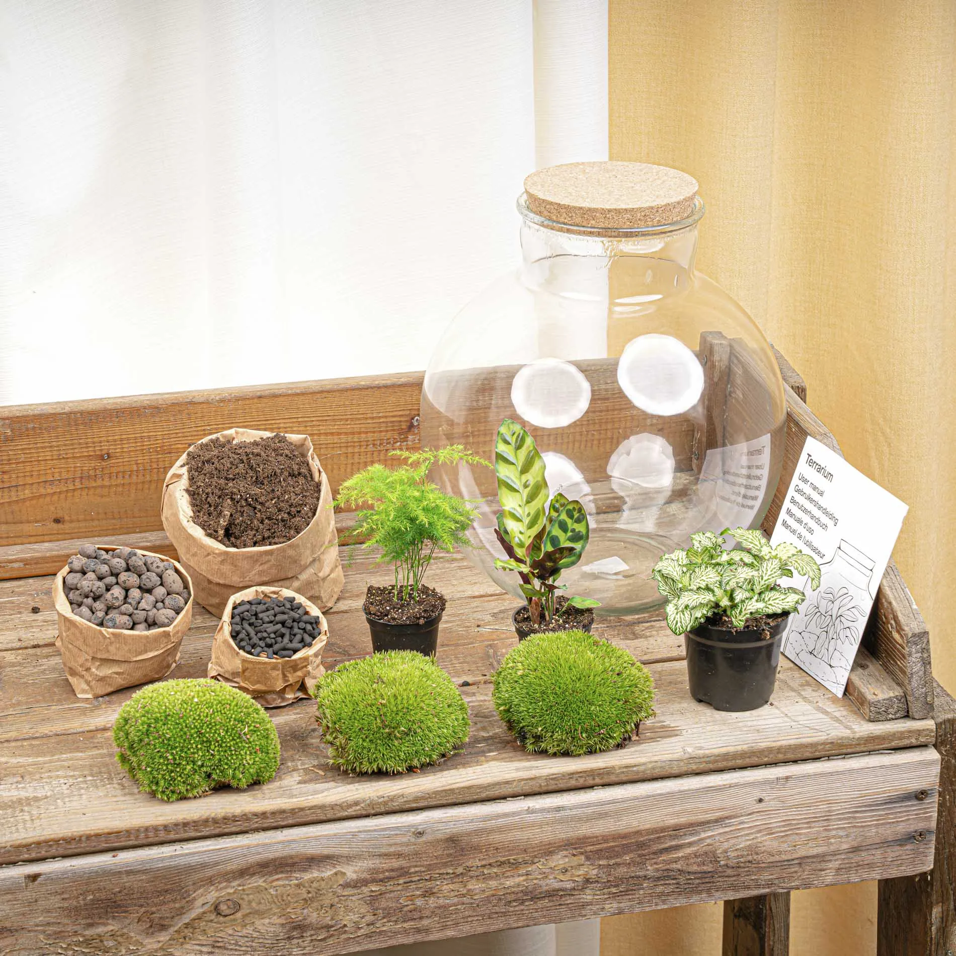 Terrarium DIY Kit - Bolder Bob - Bottle Garden - ↑ 30 cm