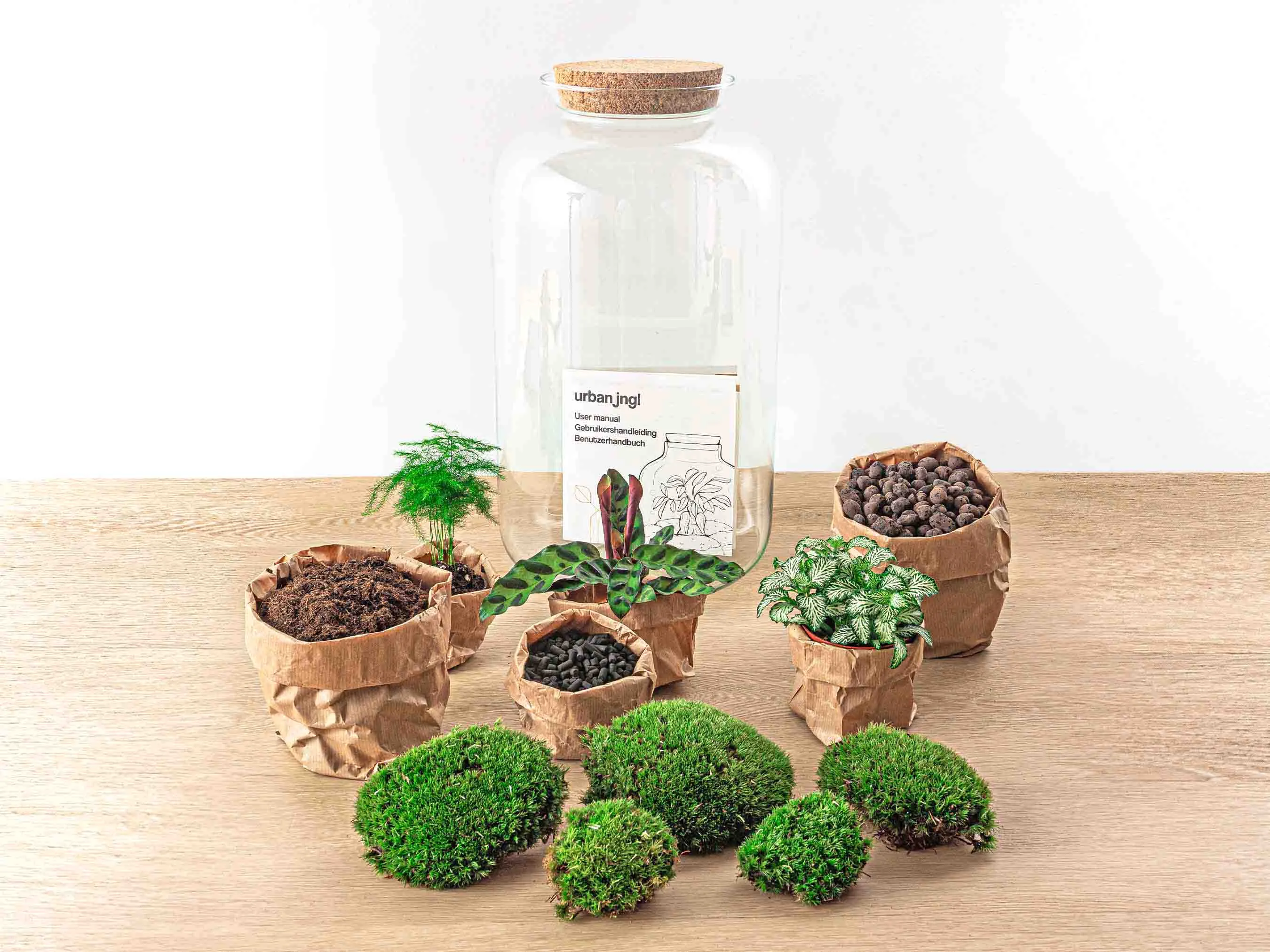 Terrarium DIY Kit - Botanical Sven XL   Light - Bottle Garden - ↑ 43 cm