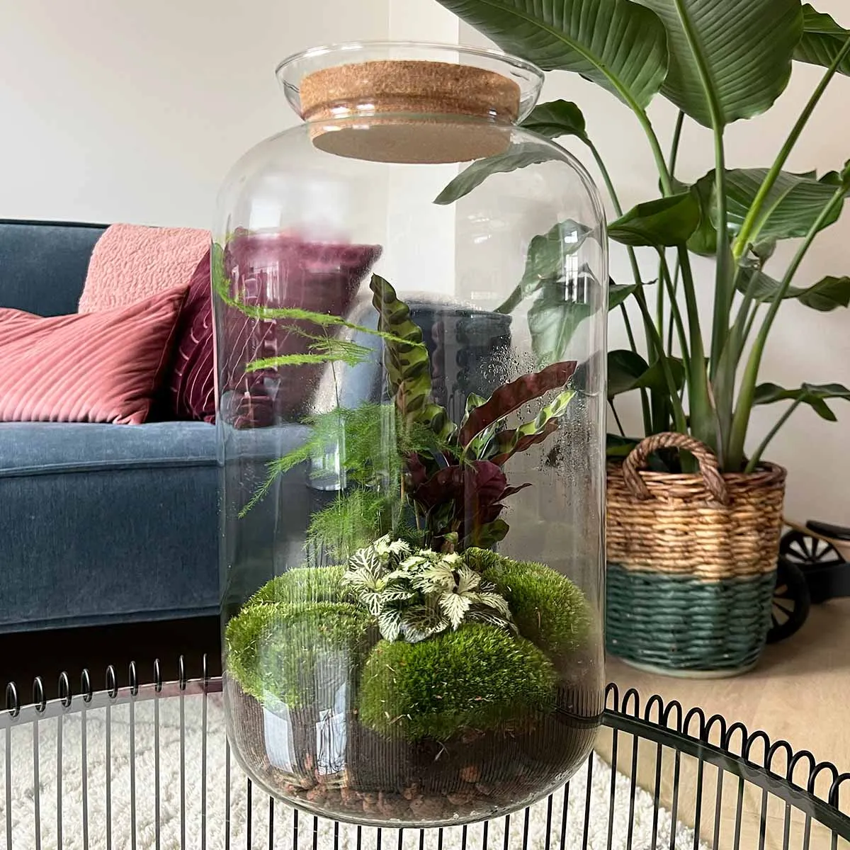Terrarium DIY Kit - Botanical Sven XL   Light - Bottle Garden - ↑ 43 cm