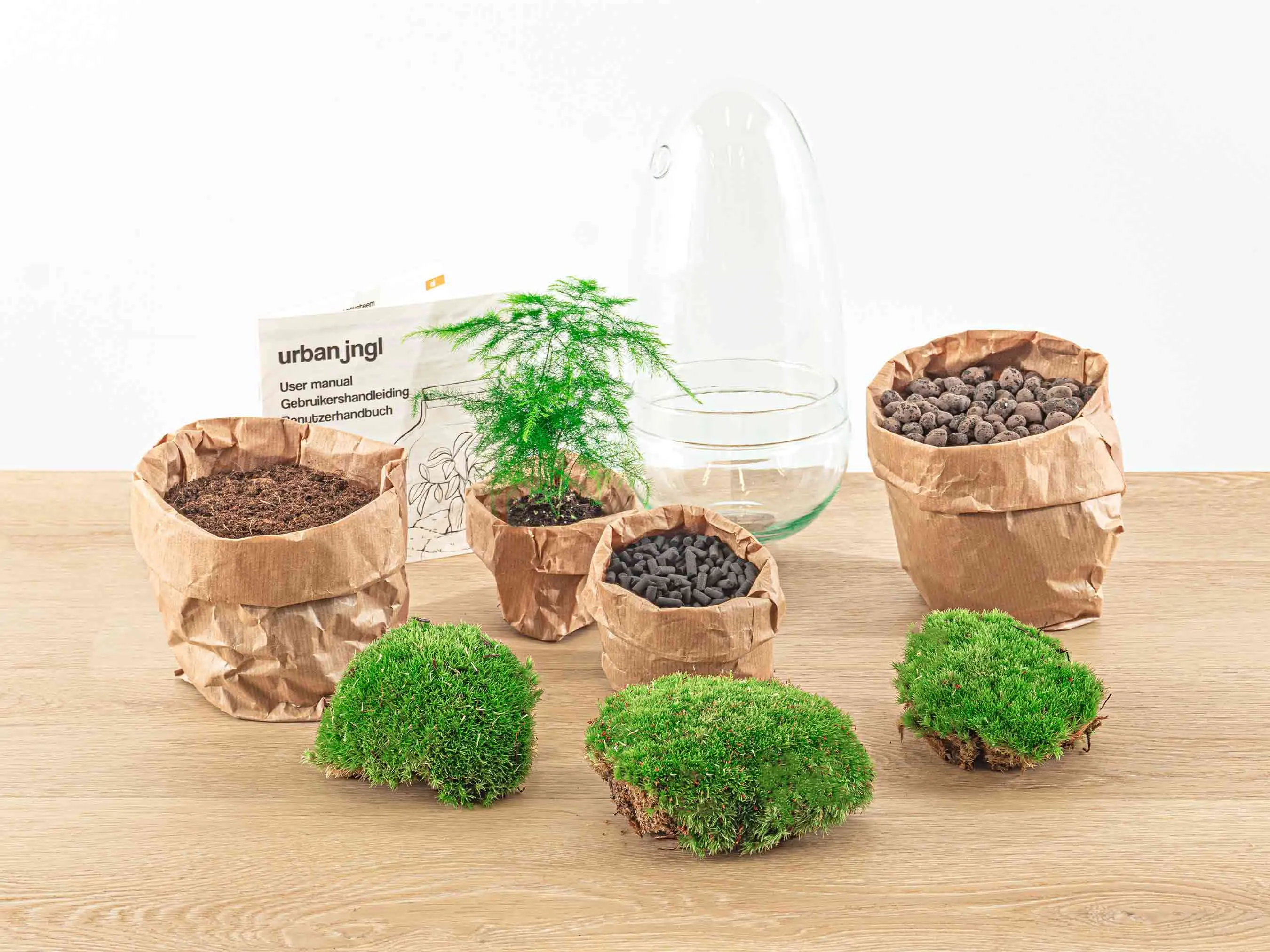 Terrarium DIY Kit - Bottle Garden - ↑ 25 cm