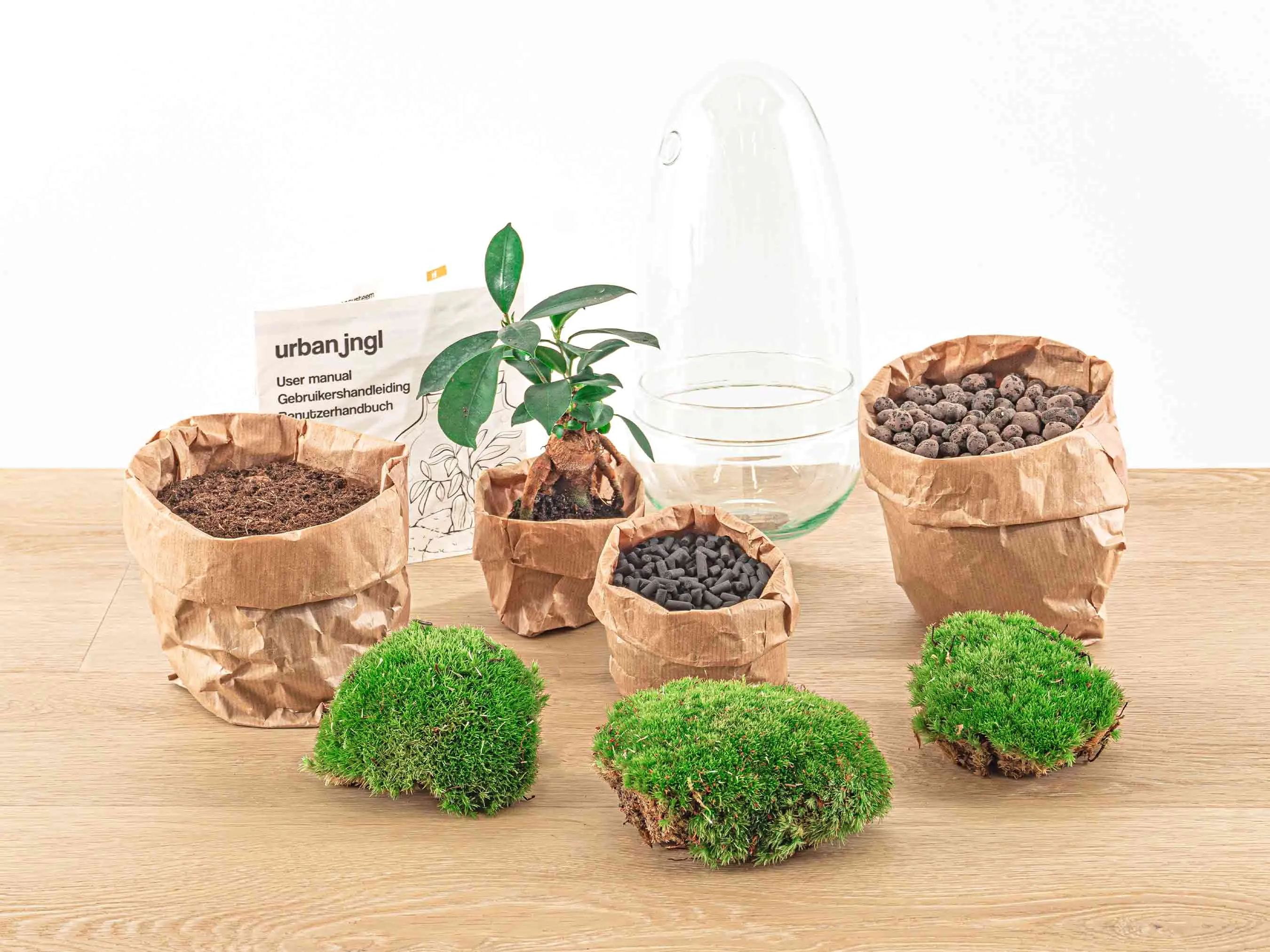 Terrarium DIY Kit - Bottle Garden - ↑ 25 cm