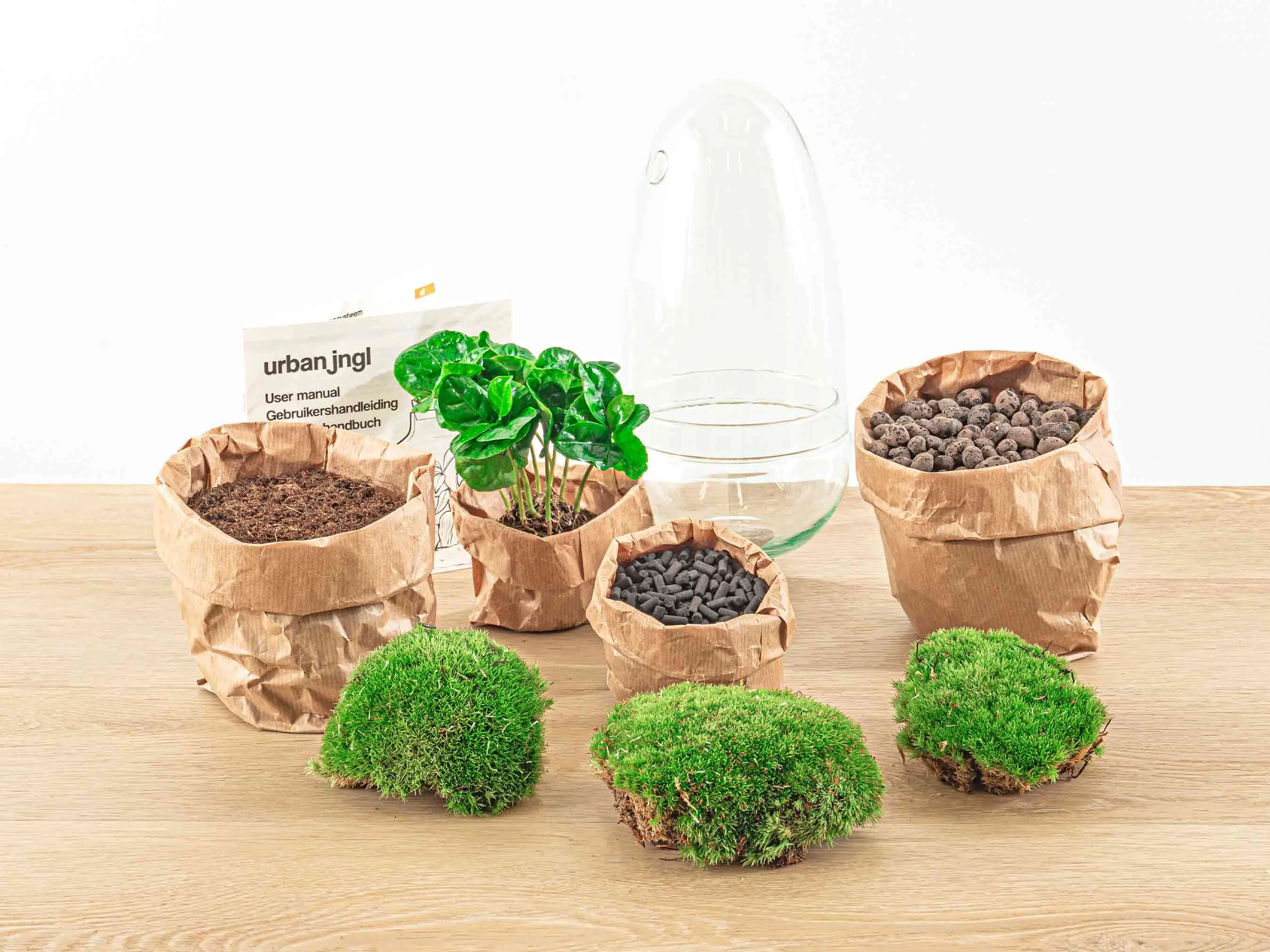 Terrarium DIY Kit - Bottle Garden - ↑ 25 cm