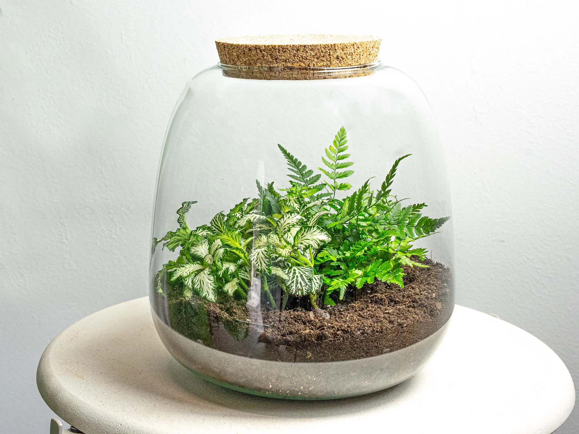 Terrarium DIY Kit - Emma Mini - DIY kit - ↑ 20 cm - Ø 19 cm