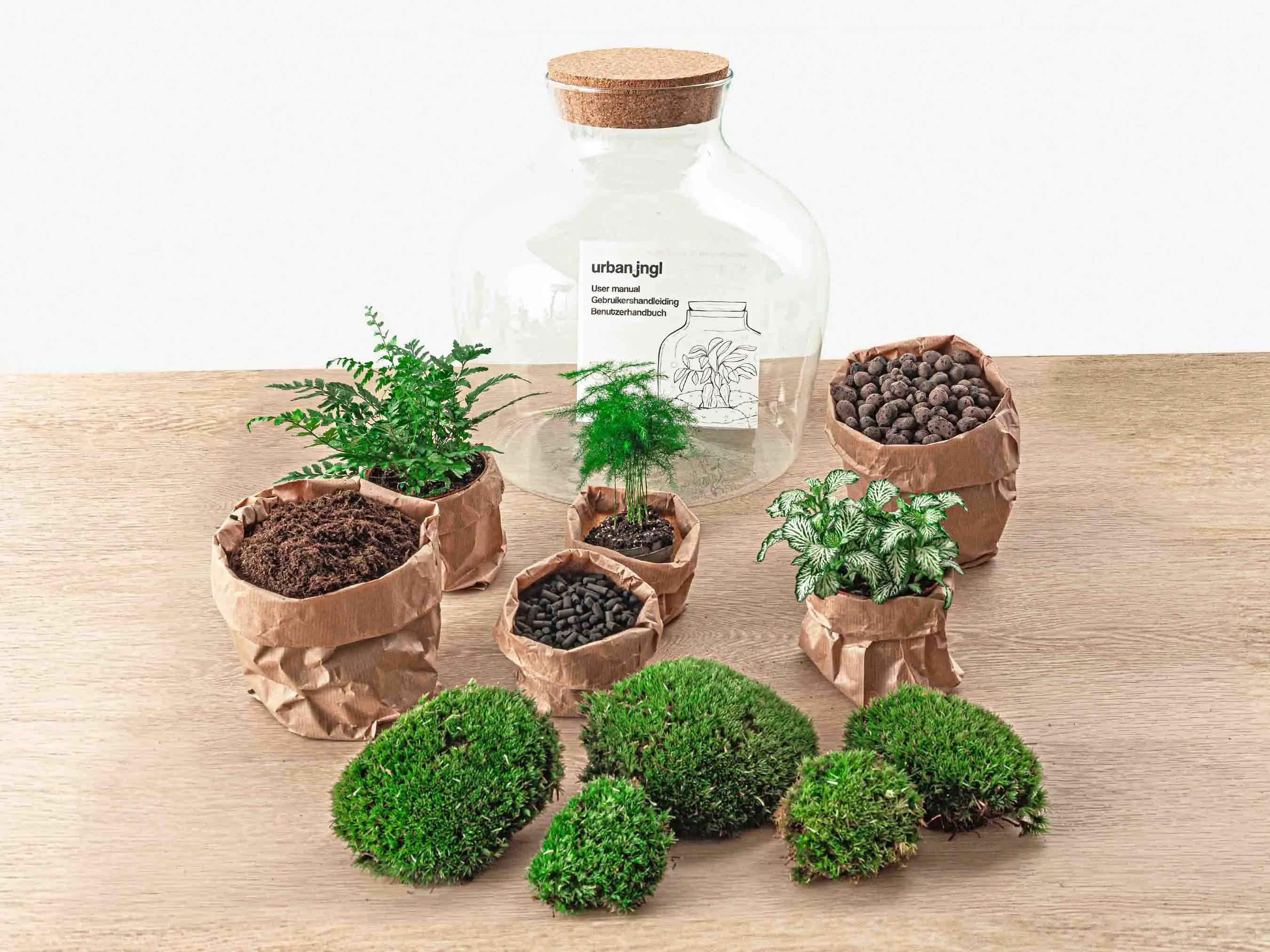 Terrarium DIY Kit - Fat Joe Green - Bottle Garden - ↑ 30 cm